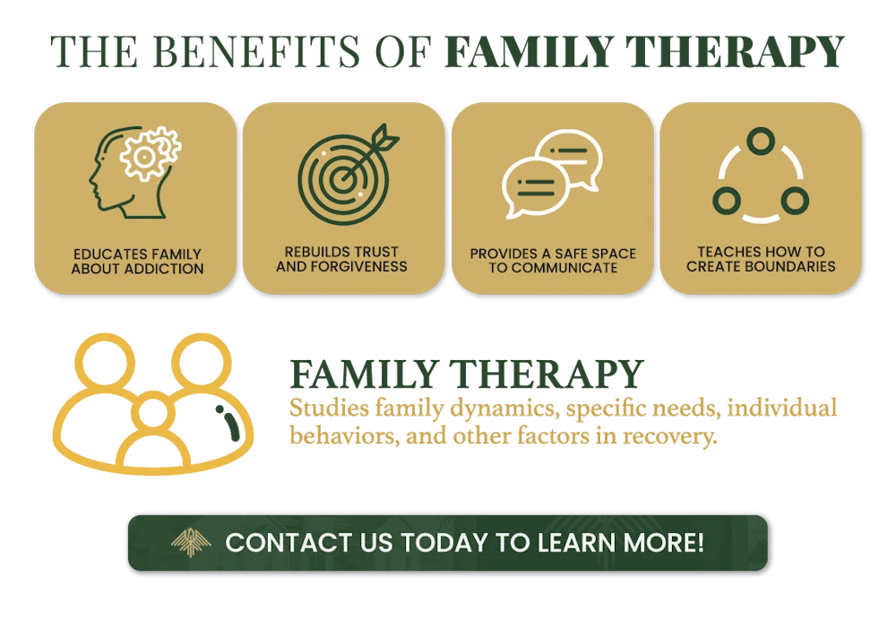 family therapy for addiction