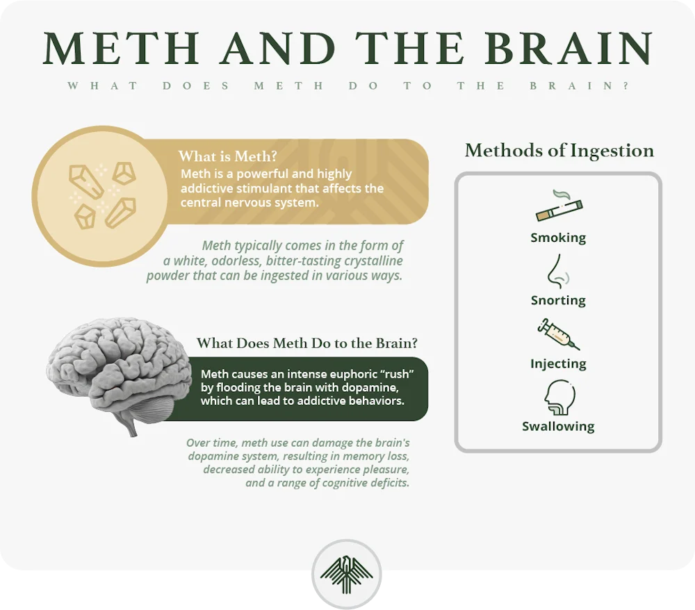 meth effects to the brain