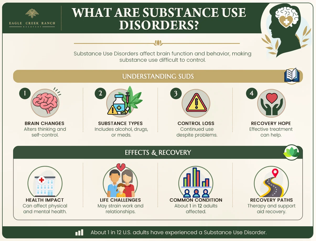 infographic about substance use disorders