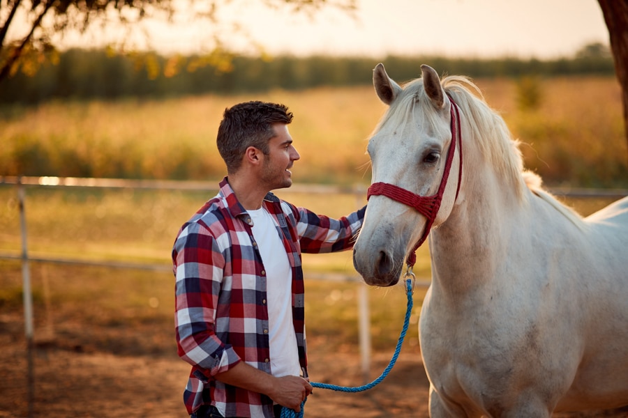 Man in white shirt and red flannel overshirt pets white dappled horse while holding it on a rope.