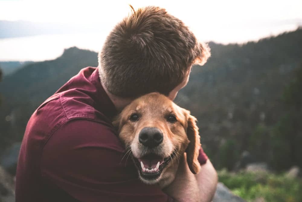 Man hugs Golden Retriever while looking around outdoors