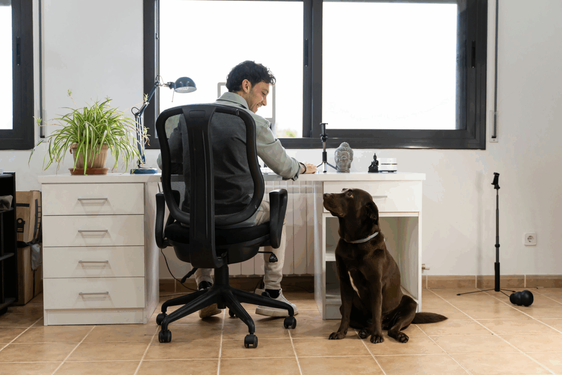 Man looking down at dog while working at a desktop computer at a desk