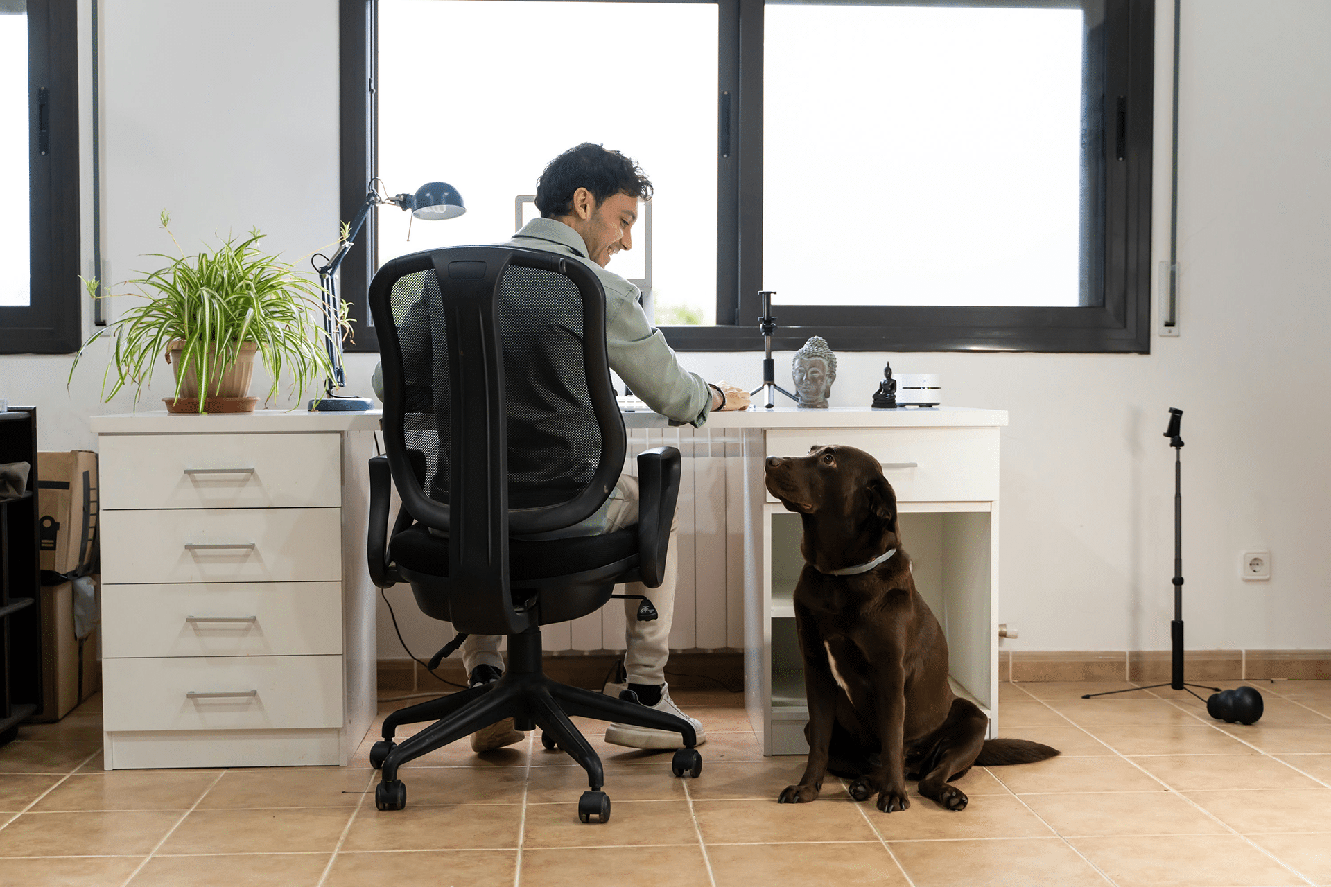 Man looking down at dog while working at a desktop computer at a desk