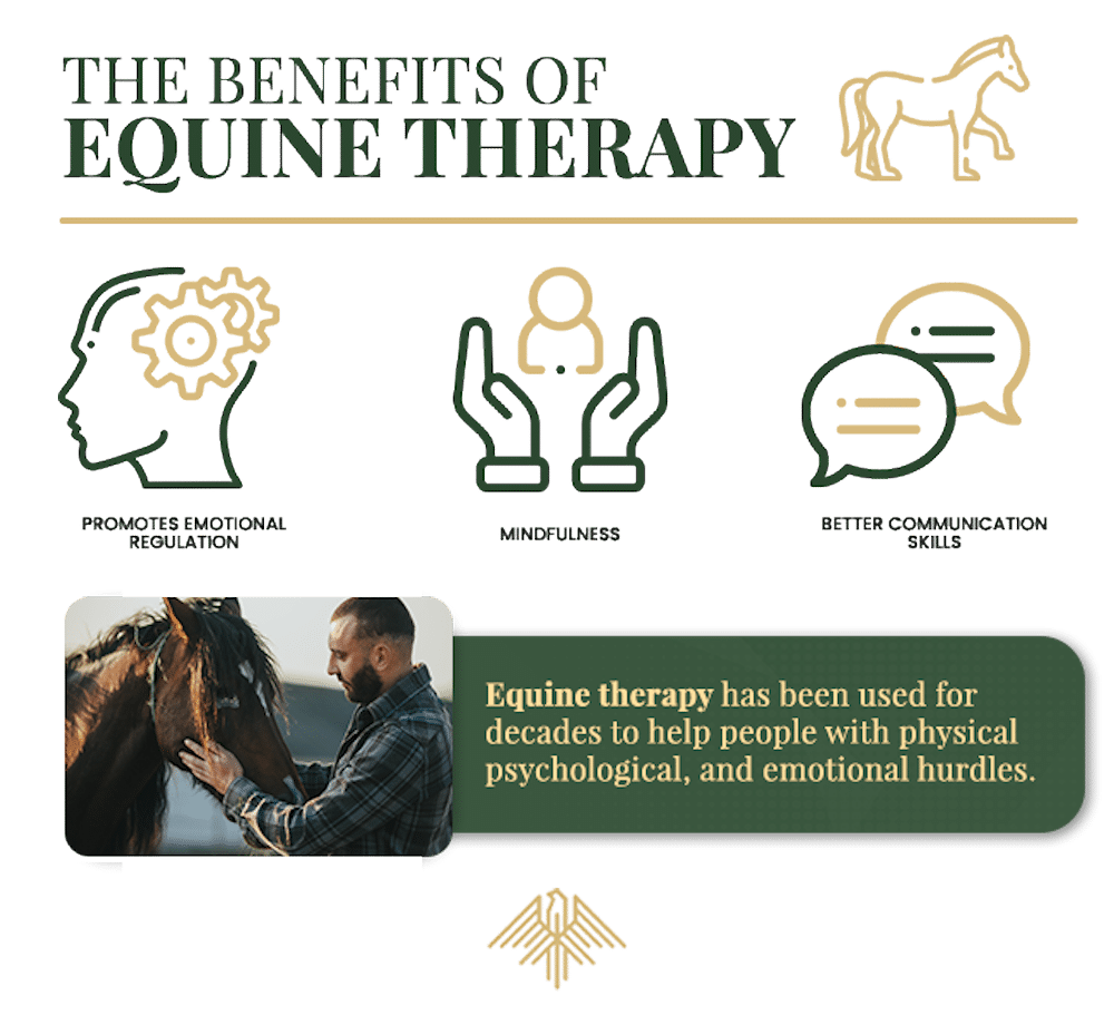 infographic illustrating the benefits of equine therapy