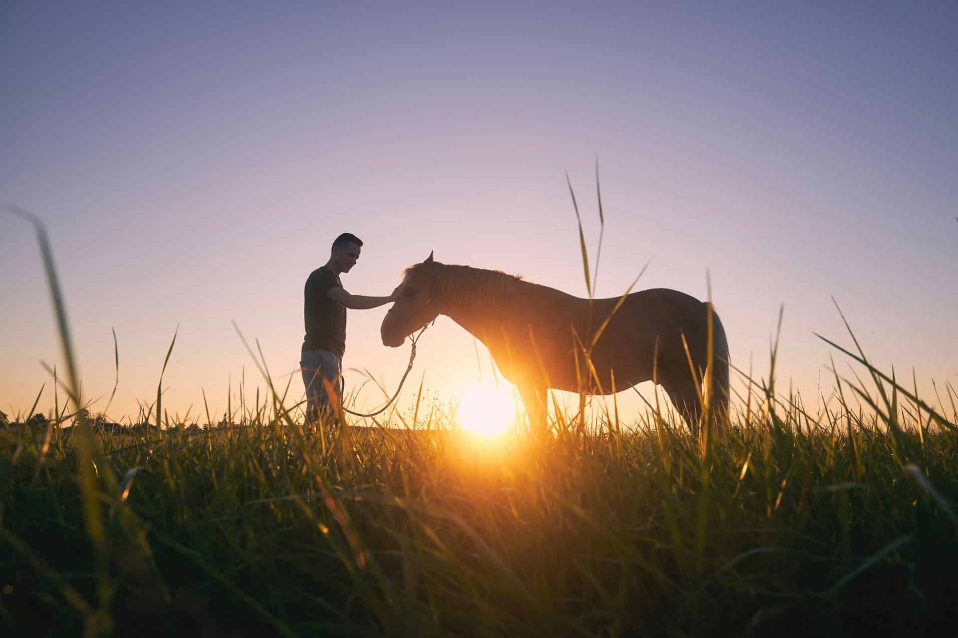 Man petting a horse in front of a sunset in Idaho.