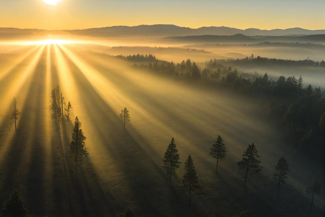 Sunrise over Idaho forest with distant mountains.